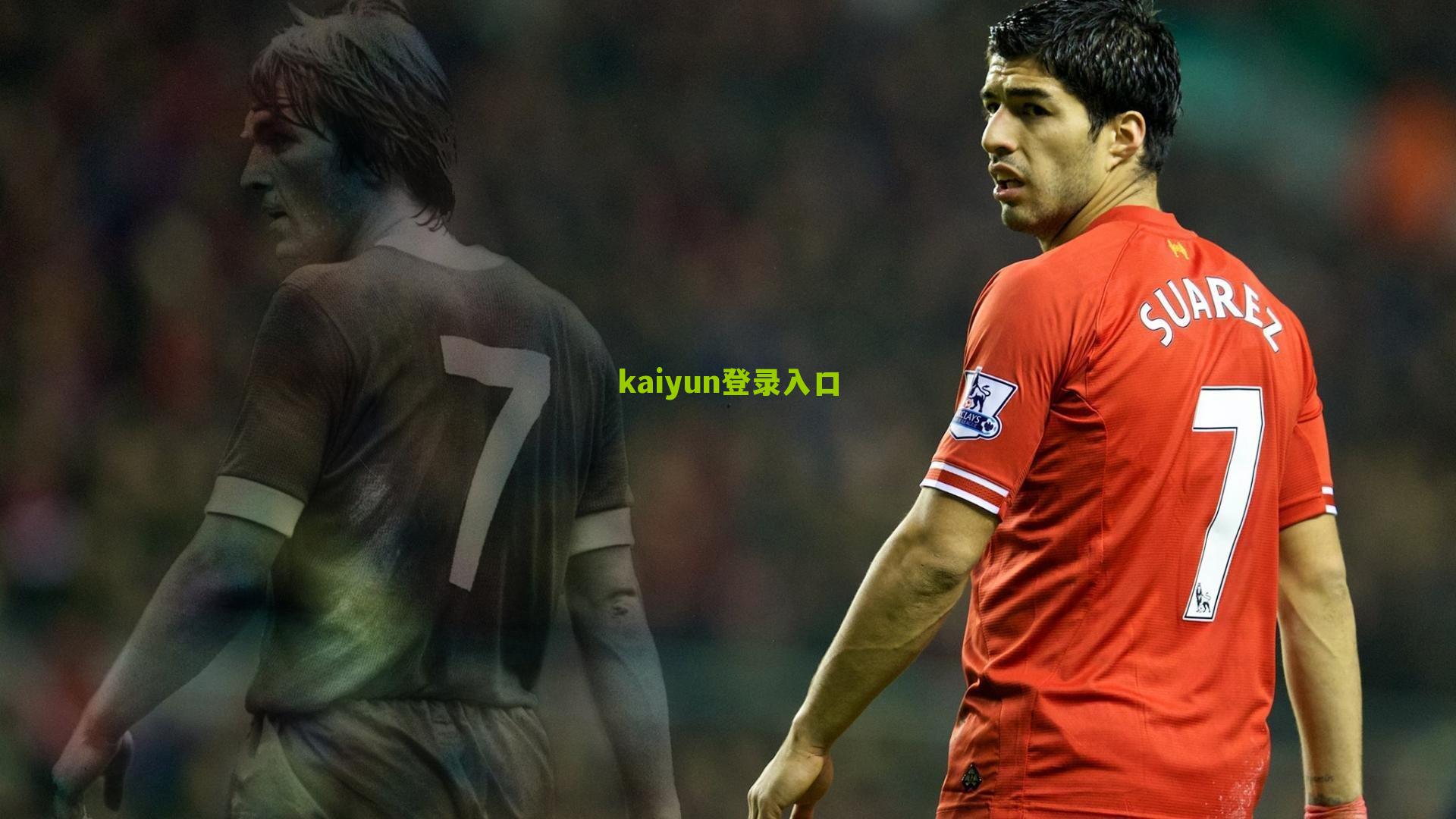 还没开打就伤退 欧洲杯名单里又现悲剧故事